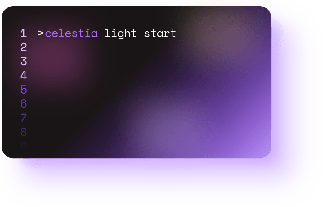 What is a light node?